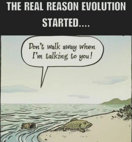 evolution-starts.png?w=640&h=692