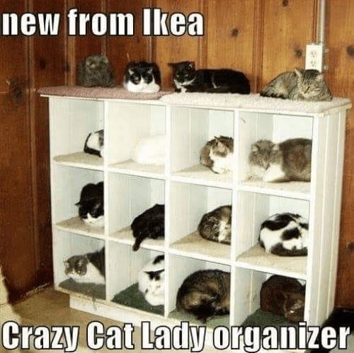 cat-organizer.png?w=640